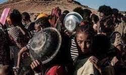   المجاعة تضرب 16 مليون شخص في إثيوبيا