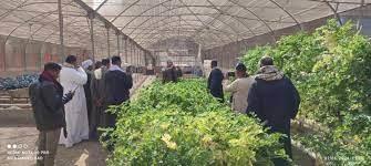 "المركزي للمناخ الزراعي" ومشروع "سيل" ينظمان دورة تدريبية حول التقنيات الزراعية الحديثة
