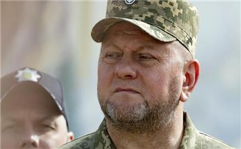   نائب أوكراني يضع سيناريو لما بعد إقالة "زالوجني"