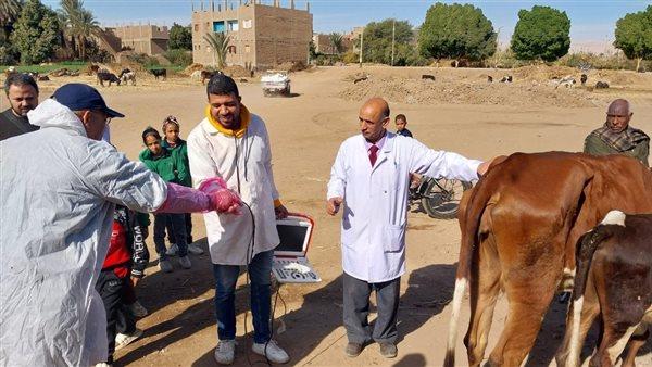 "الصحة الحيوانية" ينظم قافلة بيطرية مجانية بالفيوم