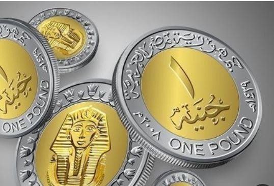 تعرف على سعر الجنيه المصري أمام عملات دول البريكس اليوم الخميس 