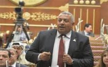   عضو بالشيوخ: قرارات الرئيس السيسي أثلجت صدور المصريين
