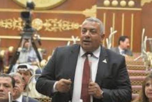 عضو بالشيوخ: قرارات الرئيس السيسي أثلجت صدور المصريين