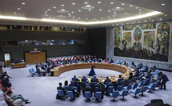   سفير فلسطين بالأمم المتحدة: مجلس الأمن يجب أن يقول طفح الكيل