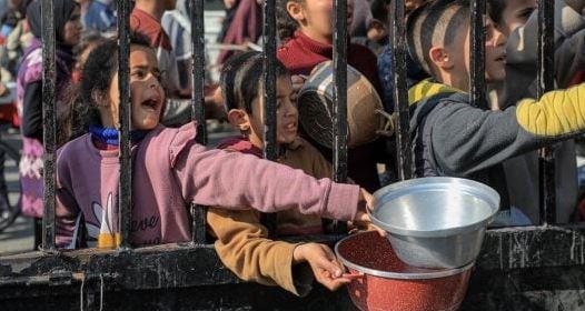 الأمم المتحدة : أكثر من نصف مليون شخص في غزة على حافة المجاعة