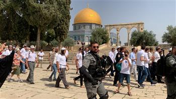   مئات المستوطنين يقتحمون المسجد الأقصى بحماية الاحتلال الإسرائيلي
