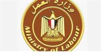 مديرية العمل بأسوان تنظم ندوة تثقيفية حول نشر ثقافة السلامة والصحة المهنية 