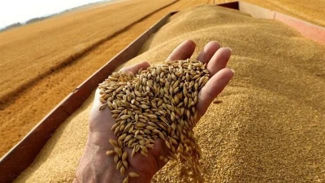 الحكومة تحدد 2000 جنيه سعر توريد أردب القمح