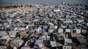 هولندا تحذر من كارثة إنسانية كبرى حال شن إسرائيل هجوما على رفح الفلسطينية