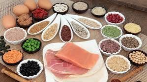   خبراء التغذية: ضرورة تناول البروتين فى وجبات الطعام 