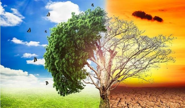 سلطنة عمان تؤكد دعمها لكافة الجهود الدولية للحد من تحديات التغير المناخي