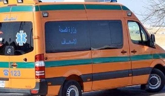 مصرع فلاح بإحدى قرى الدقهلية