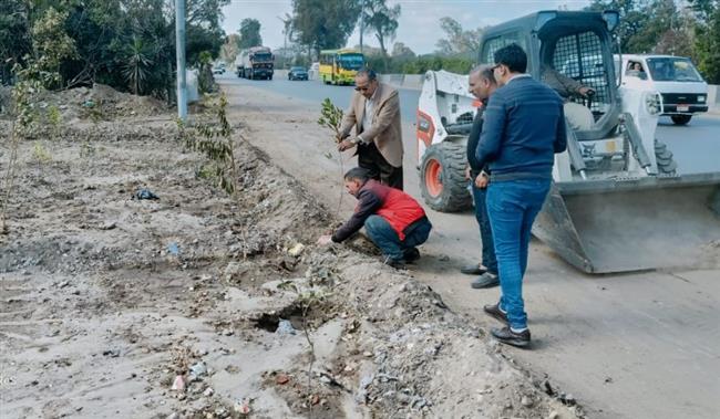 محافظ الدقهلية : رفع 750 طن مخلفات وزراعة 100 شجرة مثمرة في شوراع المنصورة