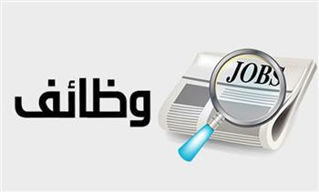 وزارة العمل: توفير 1638 فرصة عمل بـ 13 محافظة