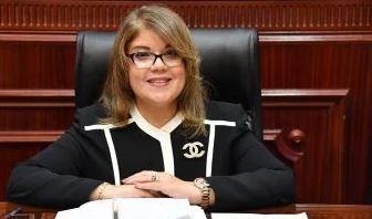 وكيلة "الشيوخ" تؤكد أهمية وجود منظومة متكاملة لتحقيق التواصل مع الطلاب المصريين بالخارج