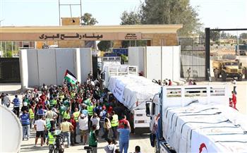   إدخال 41 مصابا فلسطينيا و247 شاحنة مساعدات لغزة عبر ميناء رفح البري