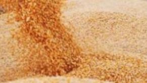   هيئة السلع التموينية تعلن عن ممارسة لاستيراد القمح
