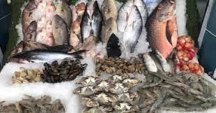   استقرار أسعار الأسماك اليوم بالأسواق