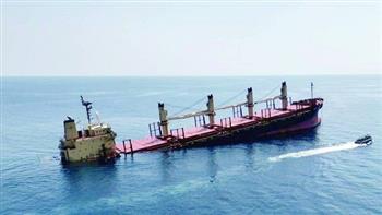   الحكومة اليمنية: غرق السفينة روبيمار تهدد الحياة البيئية بالبحر الأحمر