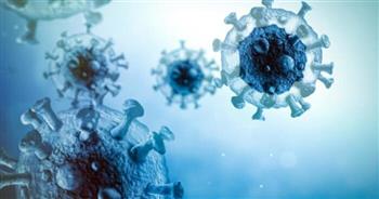  دراسة : 9 % من الأمريكيين الأكبر سنًا جرى تطعيمهم ضد الفيروس المخلوي التنفسي قبل الخريف والشتاء