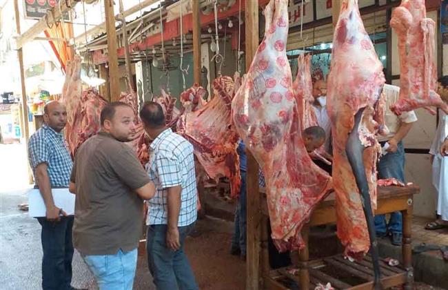 البحيرة .. ضبط أسماك مجمدة فاسدة ومحلات جزارة تذبح خارج المجازر بــ كفر الدوار
