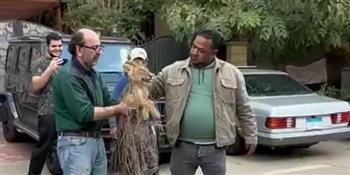 مصدر أمني عن شبل القاهرة الجديدة: لا يوجد بلاغ بالواقعة