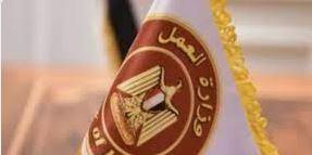وزارة العمل: "سلامتك تهمنا" لنشر ثقافة السلامة والصحة المهنية فى المنشآت الحكومية بالمنيا