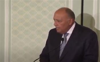 وزير الخارجية: غزة الموضوع الرئيسي في معظم المشاورات مع «بلينكن»