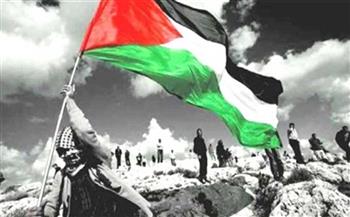   أستاذ علوم سياسية: مصر تعمل على إعادة تعبئة الرأي العام الدولي لدعم فلسطين