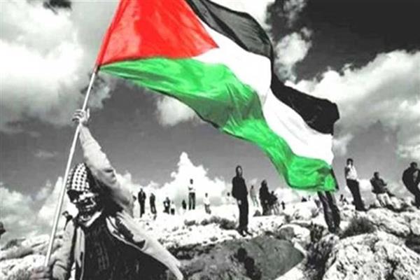 أستاذ علوم سياسية: مصر تعمل على إعادة تعبئة الرأي العام الدولي لدعم فلسطين