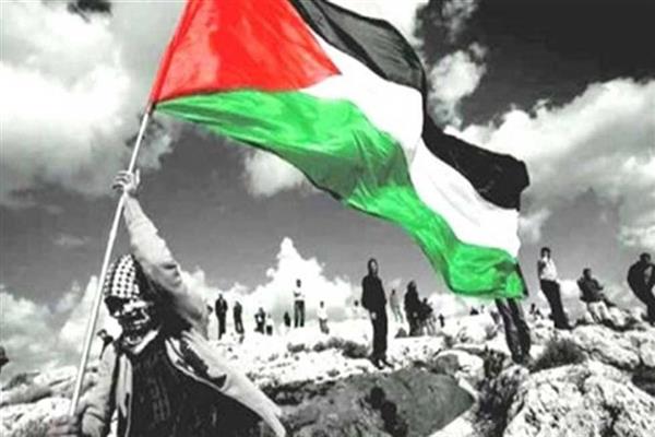 أستاذ علوم سياسية: مصر تعمل على إعادة تعبئة الرأى العام الدولى لدعم فلسطين