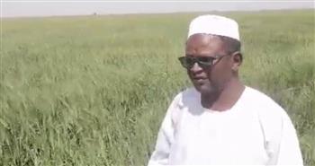   الدخيري يؤكد على دور مشروع الجزيرة كبذرة أمل للأمن الغذائي في السودان .