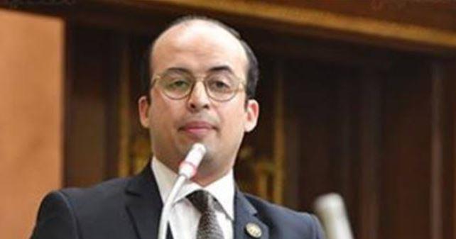 نائب التنسيقية: قرار مجلس الأمن  بوقف إطلاق النار في غزة خطوة هامة