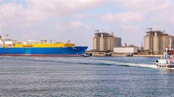  تداول 40 سفينة للحاويات والبضائع العامة بـ ميناء دمياط