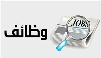 وزارة العمل : فرص عمل جديدة لشباب الإسكندرية .. التفاصيل
