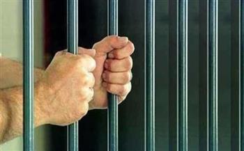   السجن المشدد 15 سنة لعاطلين لاتهامهما بالإتجار فى الحشيش بالجيزة