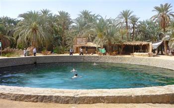   خبير اقتصادي: معايير جديدة لتنظيم السياحة العلاجية في مصر