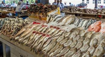   انخفاض أسعار الأسماك اليوم الأحد بالأسواق
