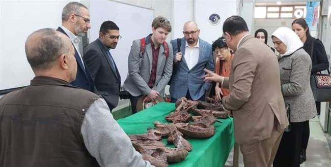 جامعة بنها تستقبل وفد جامعة كيل البريطانية