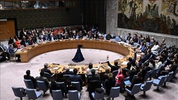   ترحيب عربي بقرار مجلس الأمن بوقف إطلاق النار في غزة