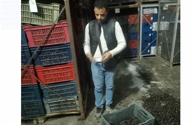 تموين البحيرة: ضبط 300 طن تمور غير صالحة بـ النوبارية 
