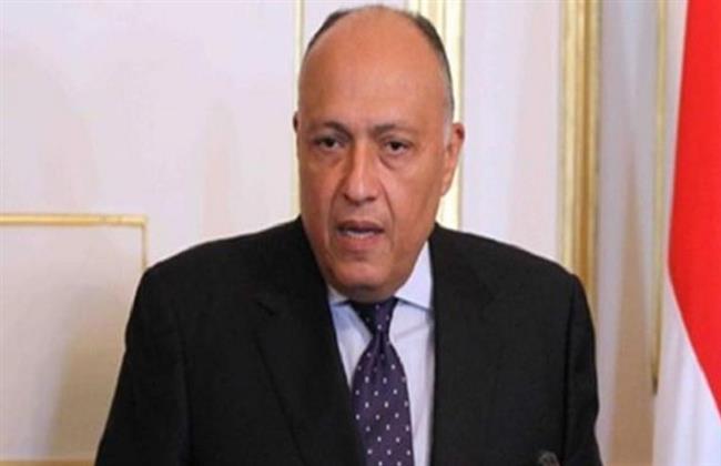 سامح شكري: الوضع بغزة يتطلب وقفا فوريا لإطلاق النار.. "لا نتحمل الآلام"