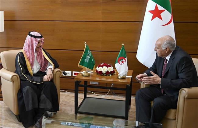 السعودية و الجزائر تبحثان جهود وقف إطلاق النار وإدخال المساعدات إلى غزة