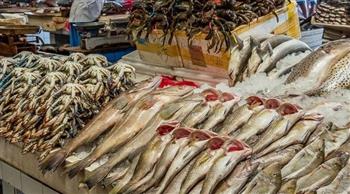   أسعار الأسماك في مصر اليوم الثلاثاء بالأسواق 