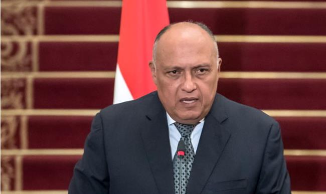شكري يؤكد دعم مصر لمساعي الصومال في الحفاظ على وحدة وسلامة أراضيه