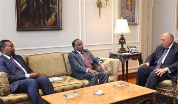   شكري يلتقي القائم بأعمال وزير خارجية الصومال