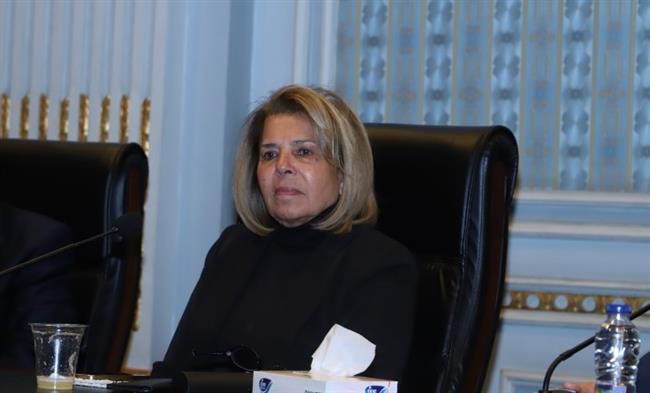 مشيرة خطاب: دستور 2014 جعل حقوق الإنسان أحد دعائم المجتمع