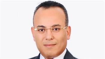 متحدث الرئاسة: زيادة الإنتاج المحلي وتوطين الصناعة هما الحل الجذري لمشكلات الدولة المصرية