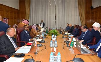   "أبو الغيط" يشارك في الاجتماع الأول لمجموعة العمل الوزارية العربية المعنية بـ دعم الصومال