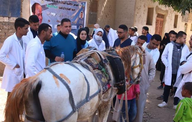 جامعة جنوب الوادي تنظم قافلة طبية بيطرية بقرية الرزيقات بحري ارمنت الأقصر